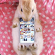 Image for article titled Don't Use Real Rabbits as Your Smartphone Case